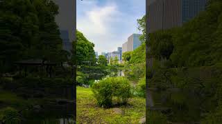 Gardens of Tokyo #japan #travel #japanwalker