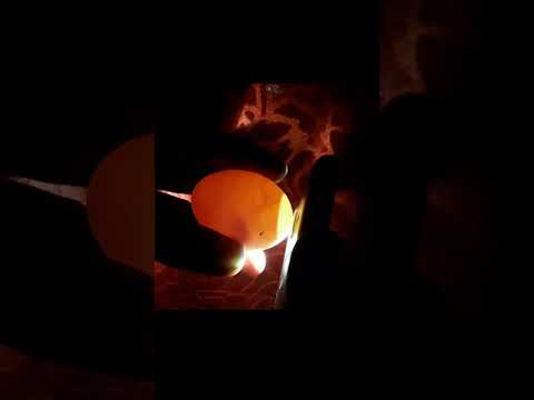 CANDLING CHICKEN EGGS DAY 7 #Viral #Shorts