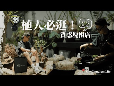 北部又多了一間塊根店！體驗上盆開幕活動🔥結合戶外及植栽單品！店內木質空間超好拍！座落於台北東區的新植栽單位 — CLOUDLESS【VLOG】