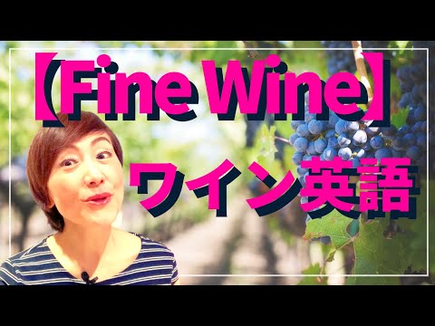 【ワイン英語】Fine Wine : 高級ワインを英語で伝える