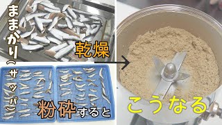 ままかりを粉砕！食品乾燥機と卓上粉砕機でままかりパウダー加工テスト