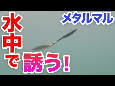 メタルマルアクション水中映像！初心者でもできる簡単メタル丸カスタム！ただ巻き仕様の成果は？