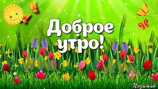 Доброе утро! Хорошего настроения сегодня и всегда!