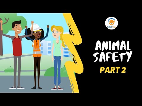 Animal Safety (Part 2) - SafetyKay