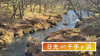 日光　千手ヶ浜　サイクリング