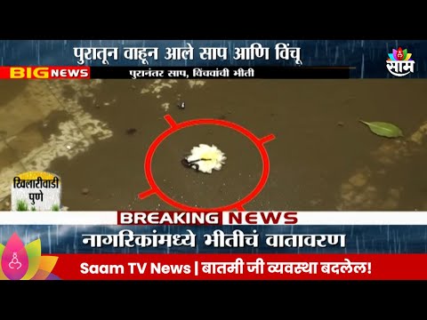 Pune Rain News:पुण्यात पुरानंतर साप,विंचवांची भीती, नागरीकांमध्ये भीतीचं वातावरण  | Marathi News