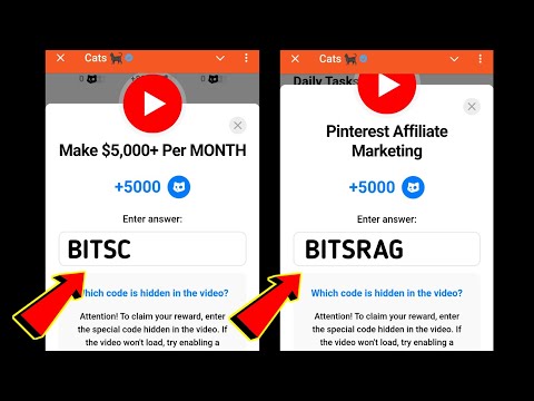 Make $5,000 Per MONTH | Pinterest Affiliate Marketing | 24-25 December Cats All Video Codes Today