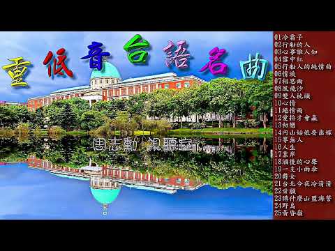 重低音台語名曲 (高音質重低音) 太讚了 !