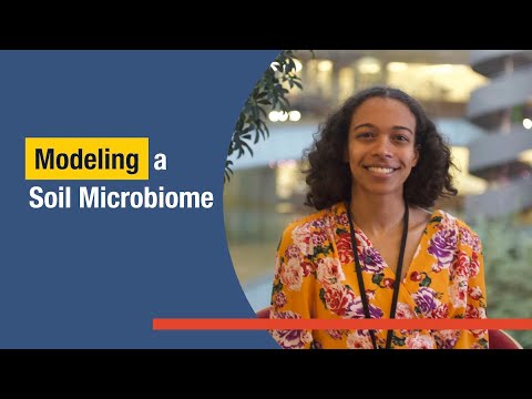 Modeling a Soil Microbiome