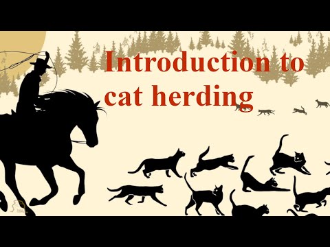 Introduction to cat herding - Adaptive Portfolio Management