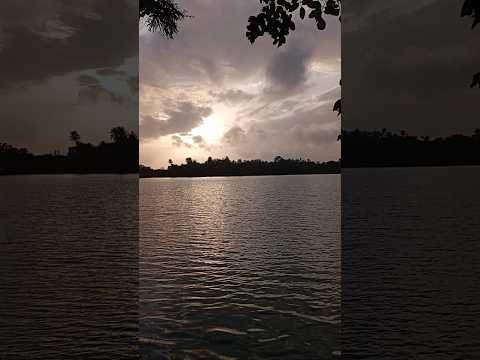 Beauty of Manipal Lake #nature #lake #manipal #shorts #shortsfeed #trending #love #viralvideo #udupi