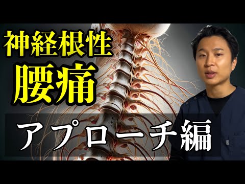 坐骨神経痛は神経根から介入すると改善率が飛躍します