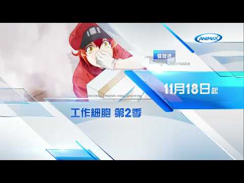 Animax《工作細胞》精彩連播