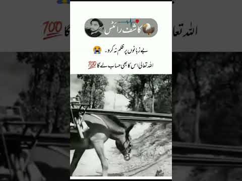 Bezubaan Upar Raham Kiya Karen Deep lines🥀 what's ap status💔|| Alone status|| Urdu shayari ||shayari