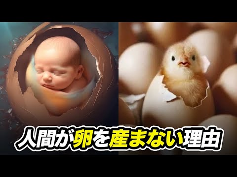 人間が卵の形で生まれることはない理由って実はすごく合理的！