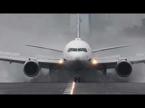 The hard working wipers are so cute 💙ANA B767-300💙Desperate reverse thrust after landing🌏OSAKA Itami