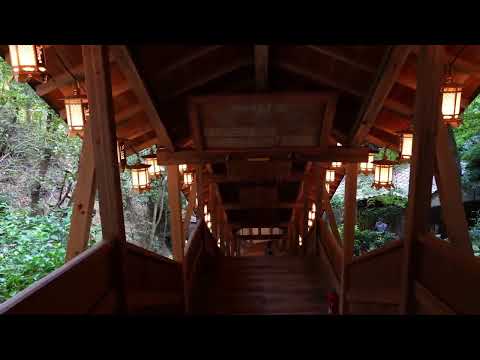 Nov 09,2024 楊谷寺(柳谷觀音) Nagaokakyo, Jododani Kyoto, Japan (Richard)