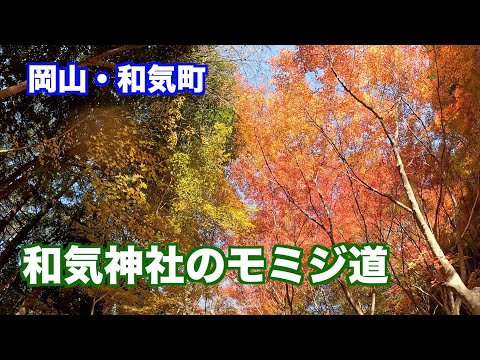 岡山・和気神社のモミジの色彩が絶景！（制作　宮﨑　賢）