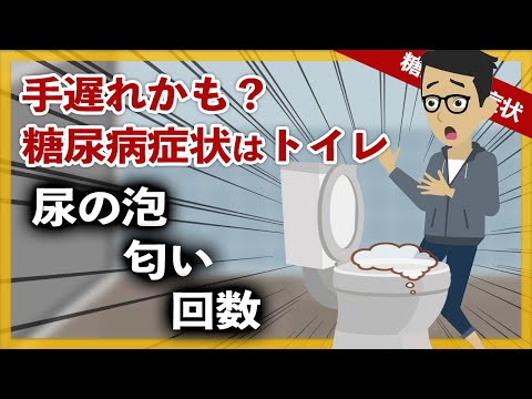 【糖尿病 アニメ】手遅れかも？糖尿病症状はトイレで気づく尿の泡、匂い、回数【経験談】