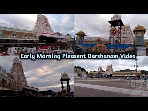 Don't Miss It This Video Early Morning Sri Tirumala Venkateswara Swamy Temple Darshanam Video