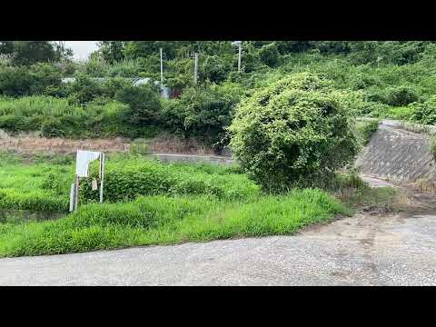 ステレオ録音検証[再エンコード無し版] 初夏の昆虫の声