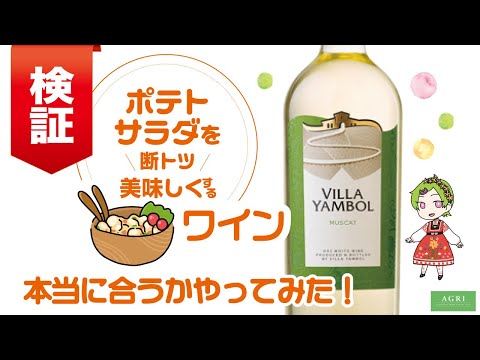 ポテトサラダを断トツ美味しくするワイン　本当に合うかやってみた！　｜アグリワインチャンネル