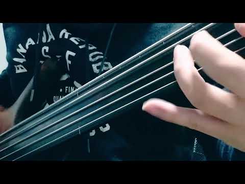 Muse - Hysteria Fretless Bass Cover (Fuzz)