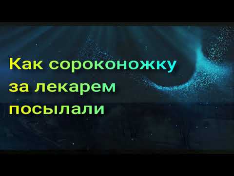 Как сороконожку за лекарем посылали