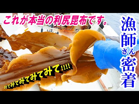 【利尻島】養殖昆布の驚きの現場！～釣り、ウニ獲り体験、利尻島を満喫～