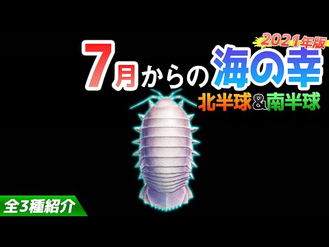 【あつ森】7月から捕れる海の幸を紹介！ダイオウグソクムシやカブトガニなどベルも稼げるレアな生き物が大量！出現時間・影のサイズ・捕まえ方・値段など解説【あつまれどうぶつの森　7月海の幸図鑑コンプリート】