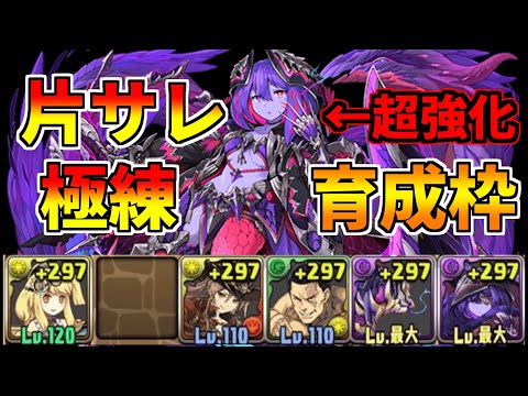 【パズドラ】シヴィニアの強化が熱すぎる！片サレ極練を育成枠ありで周回！