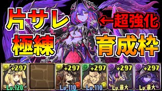 【パズドラ】シヴィニアの強化が熱すぎる！片サレ極練を育成枠ありで周回！