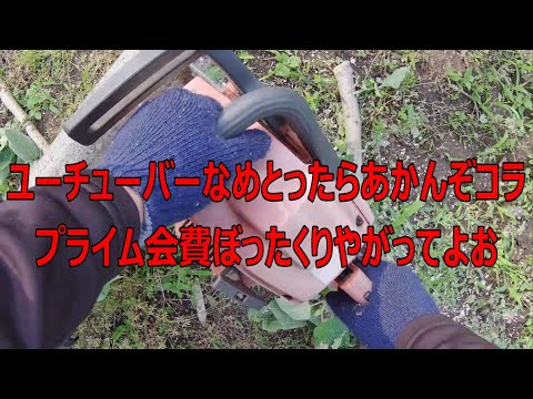 チェーンソー親父が木を切り刻んでみた