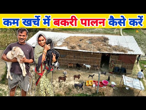 कम खर्चे में बकरी पालन कैसे करें | kam kharch me bakri farm kaise banaye