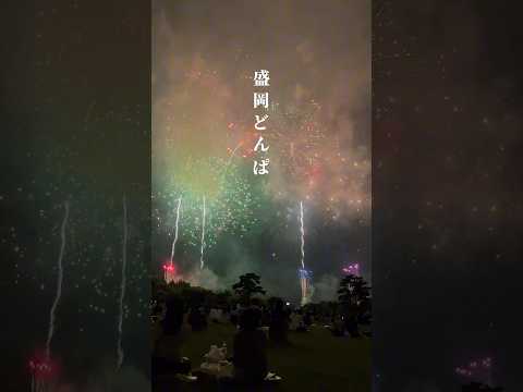 【盛岡市】盛岡どんぱ #岩手県 #盛岡市 #盛岡観光