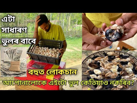 এটা সাধাৰণ ভুলৰ বাবে বহুত লোকচান | আপোনালোকে এইটো ভুল কেতিয়াও নকৰিব?Local Murgi Farm|Local Chicken