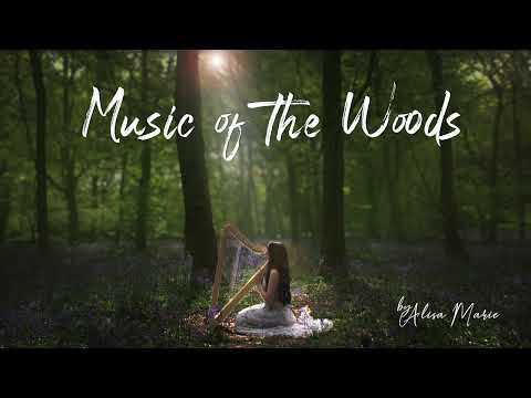 Woodland Dreaming - Track 01 (Music of the Woods EP)