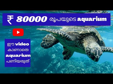 80000₹ aquarium| biggest aquarium in Malayalam review