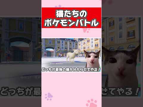 猫ミームでポケモン実況してみたらカオスすぎたｗｗｗ#shorts #猫ミーム #猫マニ