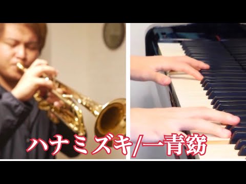 【コラボ】ハナミズキ/一青窈【トランペットとピアノで演奏してみた！】