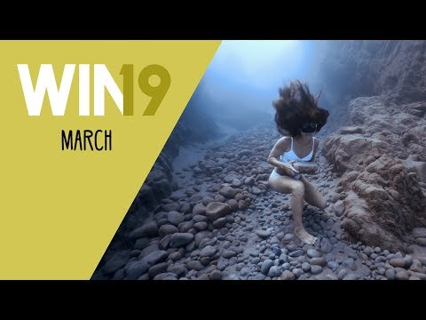 WIN Compilation March 2019 Edition | LwDn x WIHEL