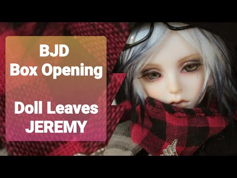 BJD Box Opening Jeremy from Doll Leaves