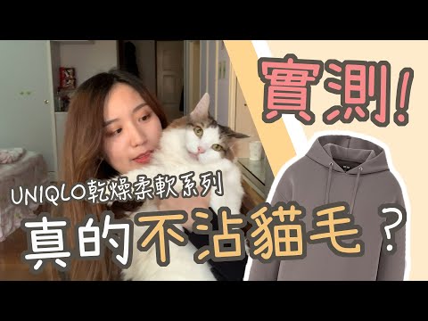 紅遍日本的【UNIQLO最強防沾貓毛帽T】實測！真的防沾貓毛嗎？！