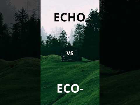 ПРОИЗНОШЕНИЕ. ECHO vs ECO-