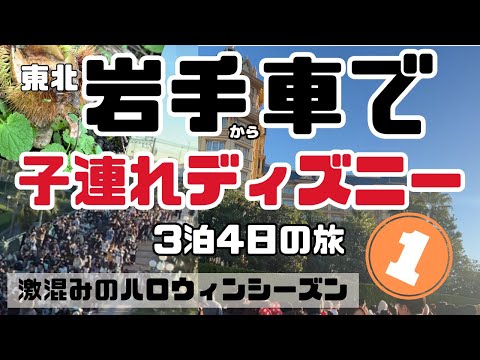 東北岩手から車でディズニーへの旅①　激混みのハロウィンディズニーに挑む我が家の様子！初めての首都高〜前泊〜入園