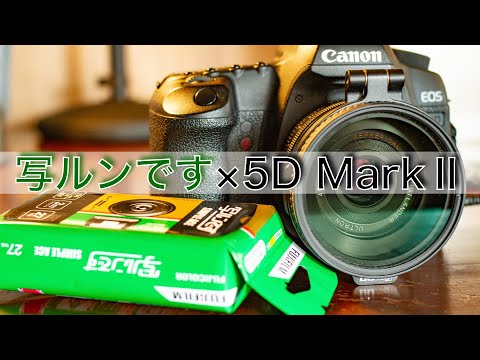 「写ルンです」を持って東京散策 / 作例 / 動画は2008年発売「Canon EOS 5D MarkⅡ」をメインに撮影 / DJI Pocket 2 /  TOKYO