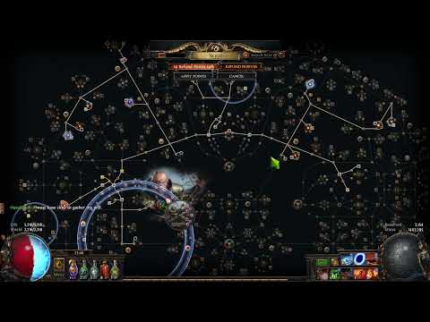 【Path of Exile】パッシブスキルの振り直し