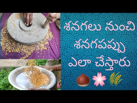 Bengal gram process | Black Chick peas | Kala chana | Kadala mavu