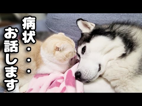 病状について...