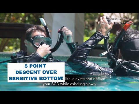 5 Point Descent Over a Sensitive Bottom • Skill PADI Open Water Diver Course Scuba Diving Tips